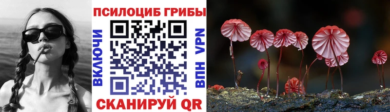 Галлюциногенные грибы прущие грибы  Купить где  Балашов 